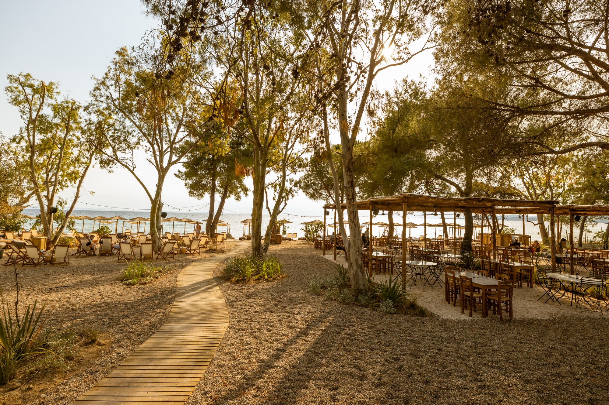 Ergon Beach House Nikiti - 16